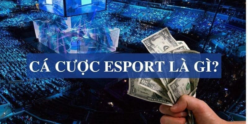 Cá cược esports